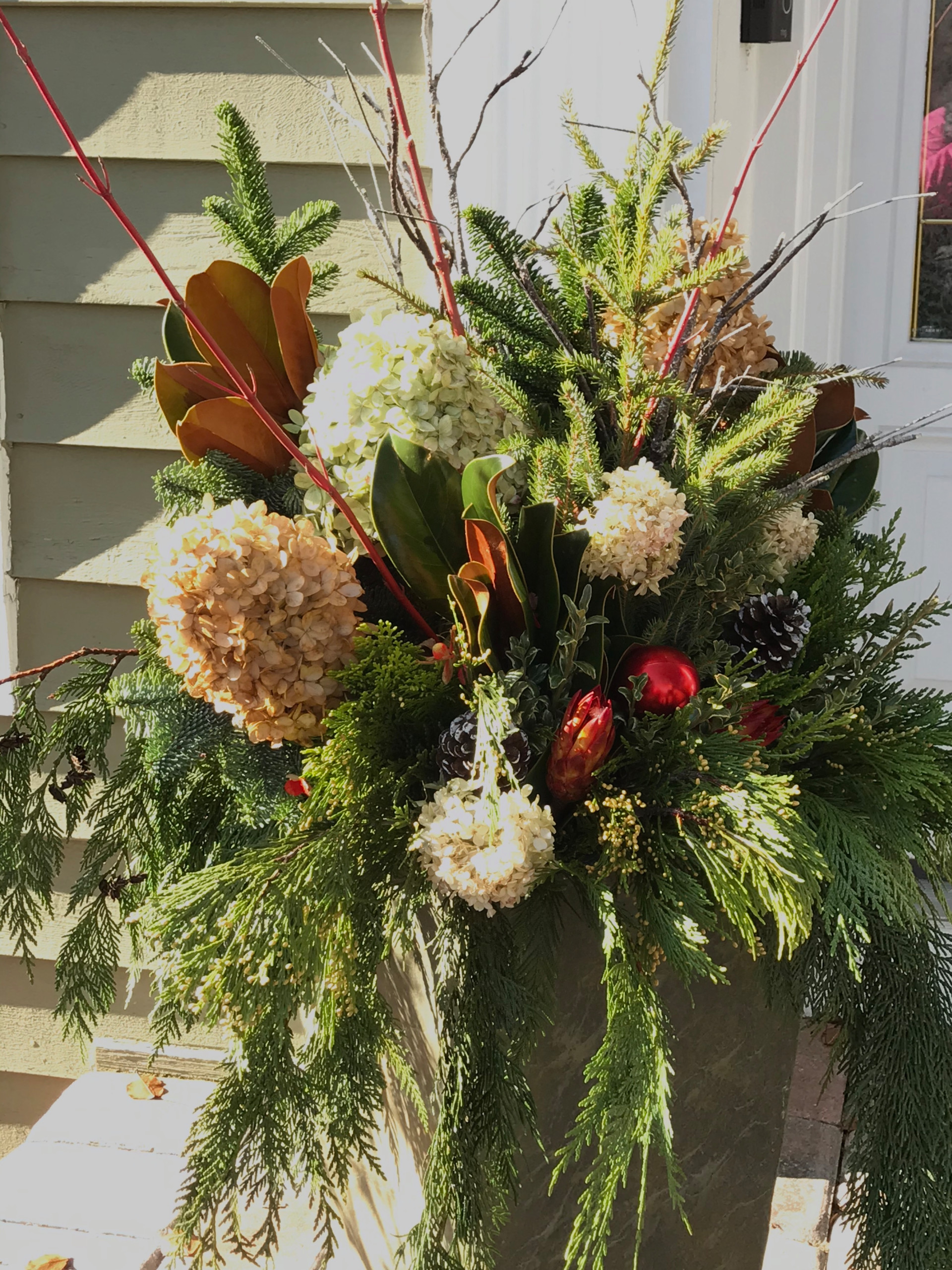 Winter containers and Holiday Decorations