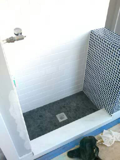 Dog Wash Station