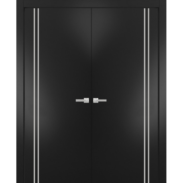 Solid French Double Doors Planum 0310 Matte Black with, 36" x 96" ( 2