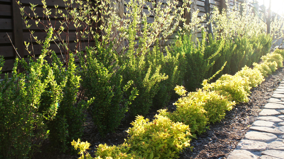 Цветники и композиции крупным планом