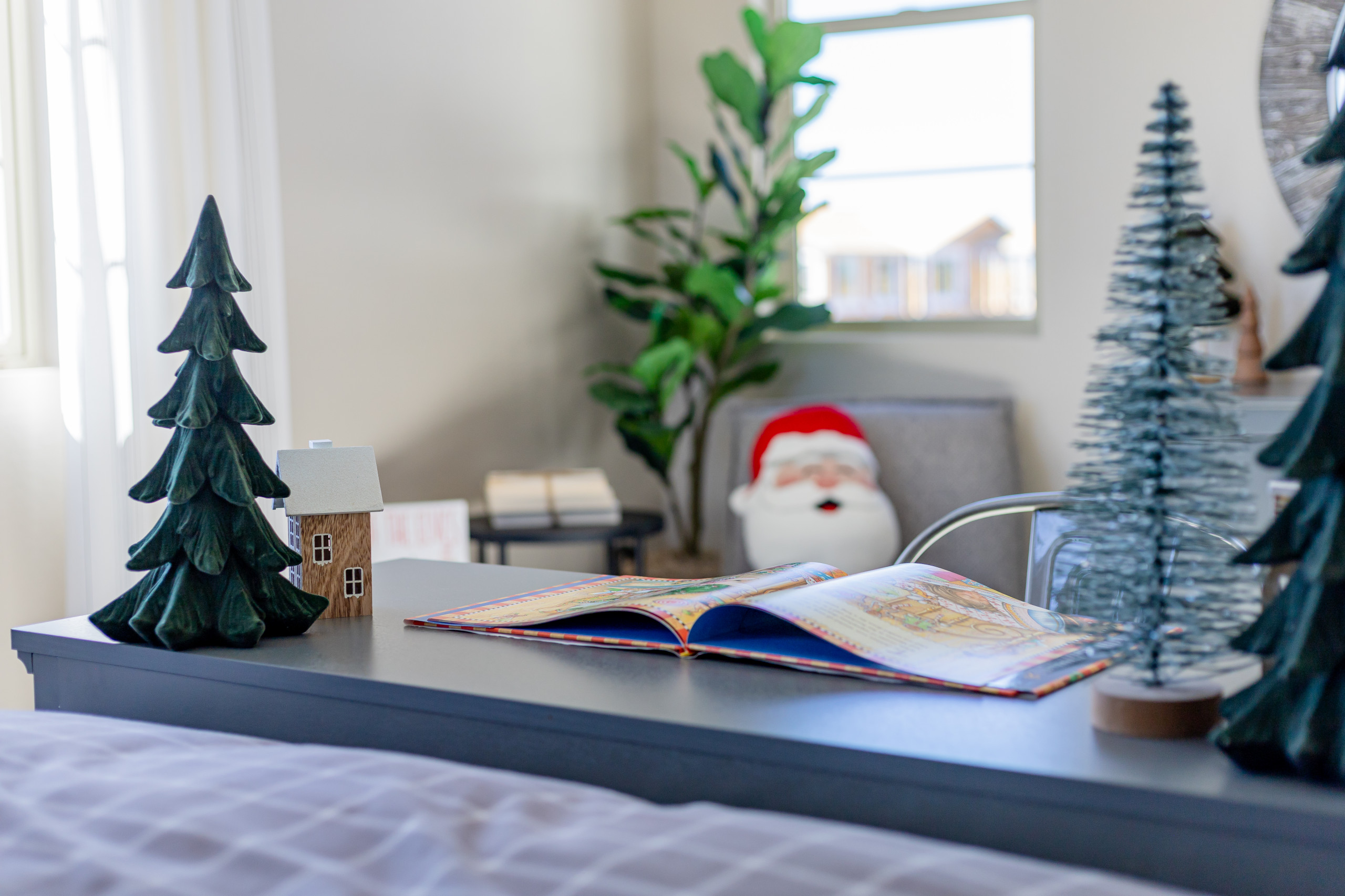 Queen Creek City Lifestyle Christmas Shoot