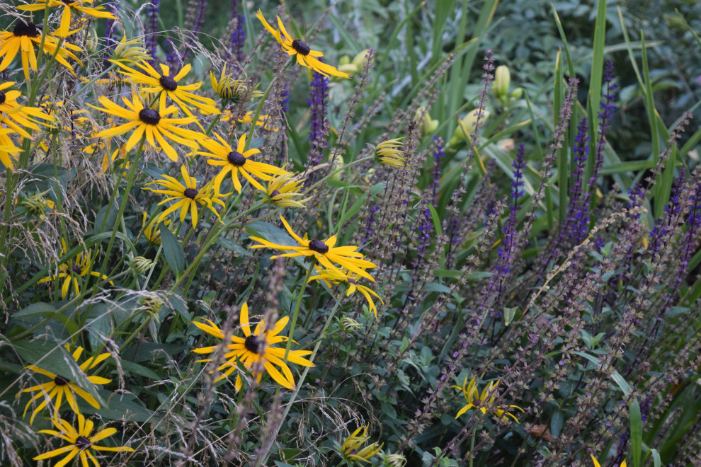 "Лесная сказка"