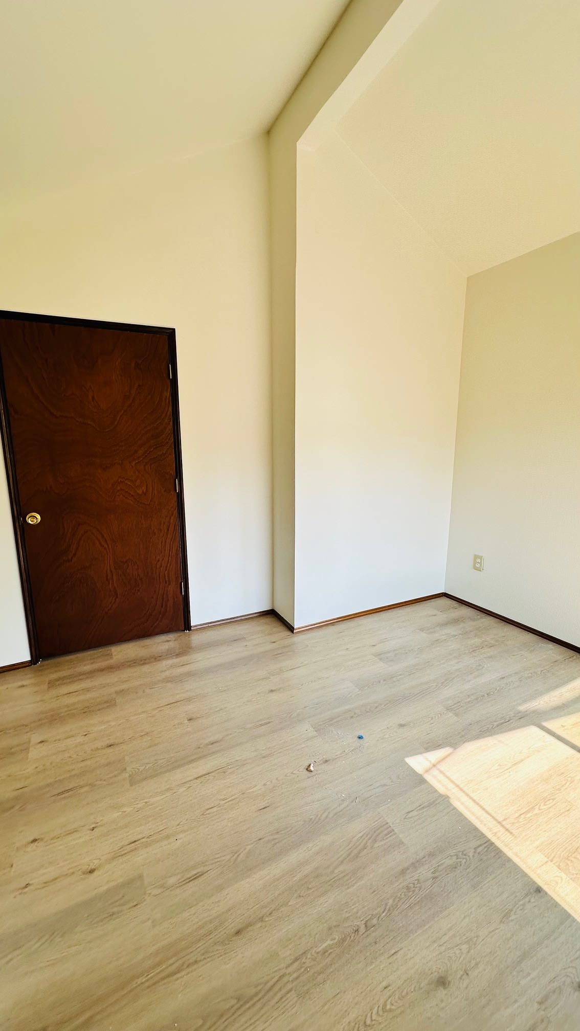 Auburn Remodel
