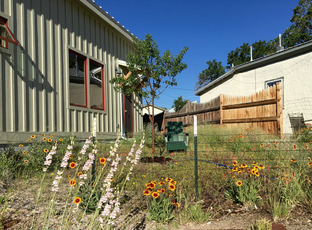 Ten Tips for Leaving a Garden 