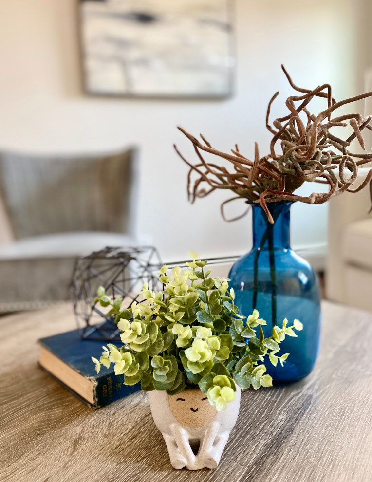 Transitional home design photo in Boston
