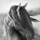 Last commented by Gabby Springs