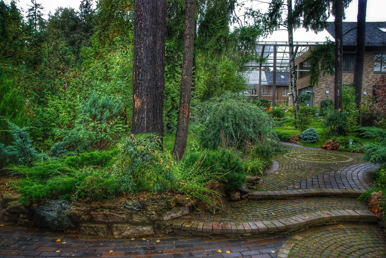 и на камнях растут цветы