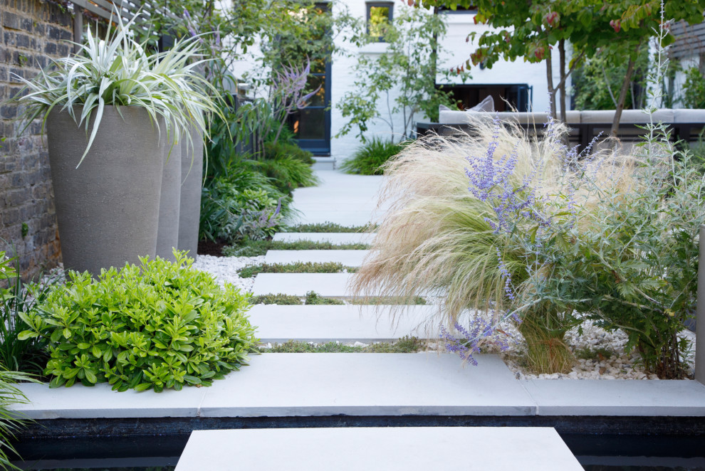 Immagine di un giardino formale minimal dietro casa con un ingresso o sentiero e ghiaia