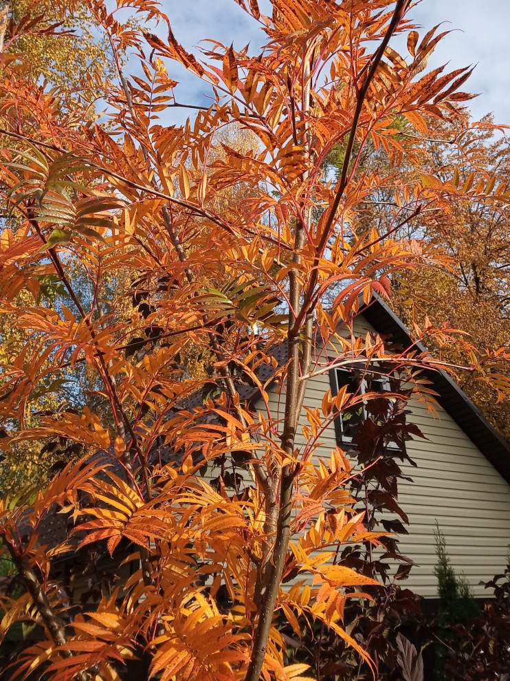 Сад в Рожновке