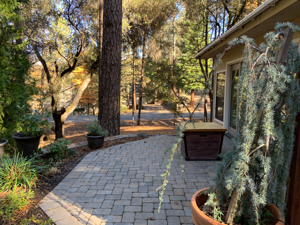 Kleiner, Halbschattiger Moderner Garten neben dem Haus mit Sichtschutz, Betonboden und Holzzaun in Sacramento