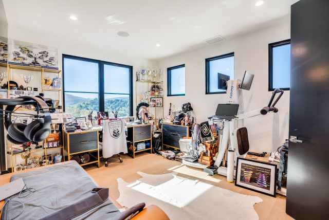Modern Luxury modern