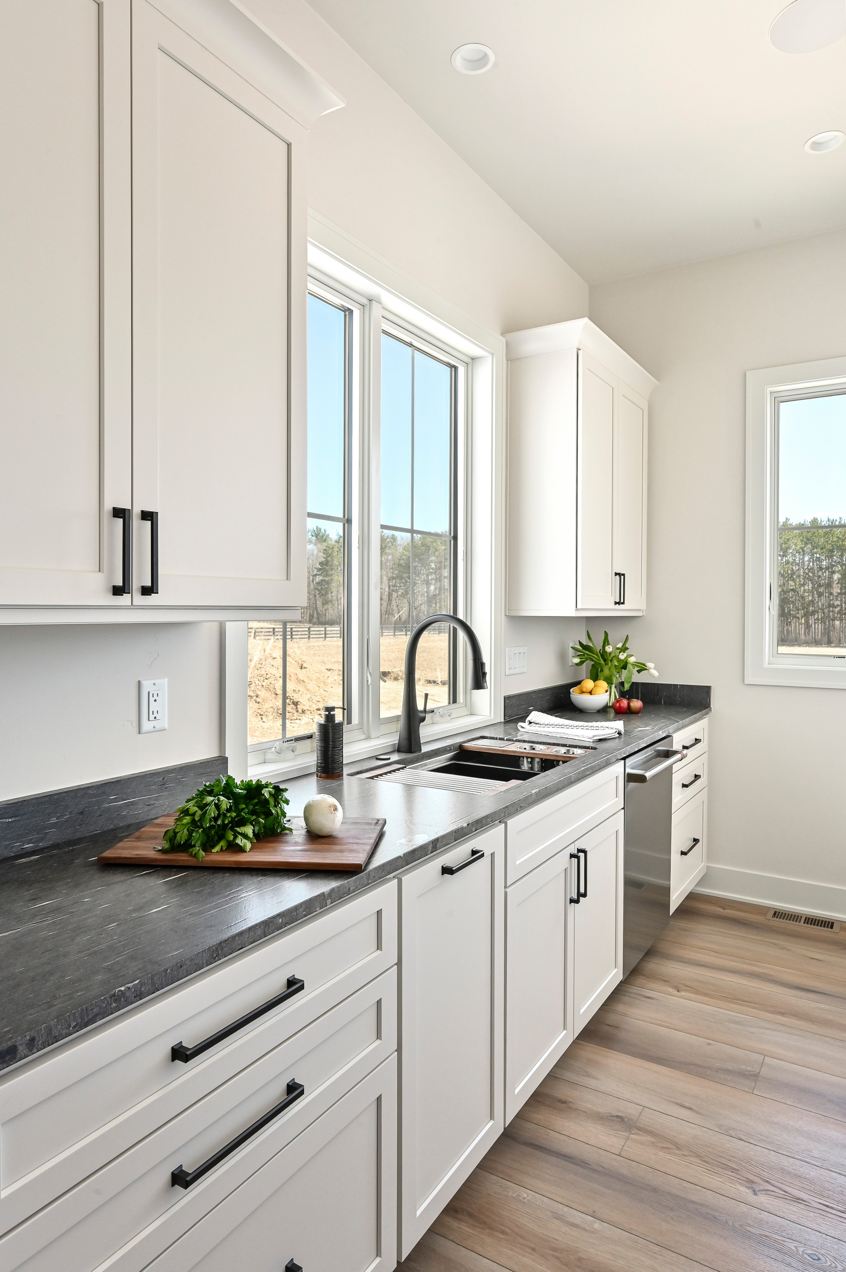 Oconomowoc Modern Rustic House