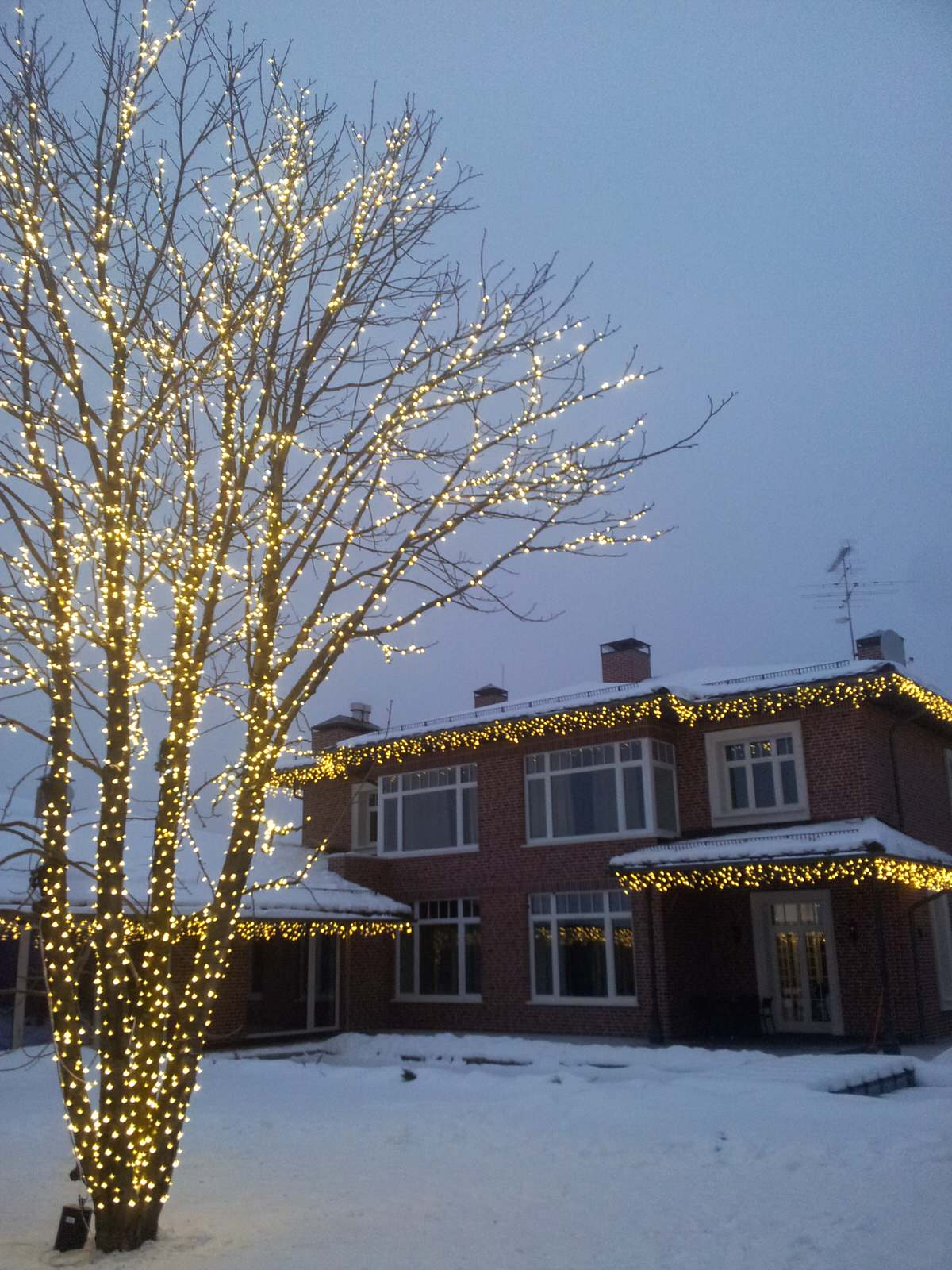 Современный сад в КП "Променад"