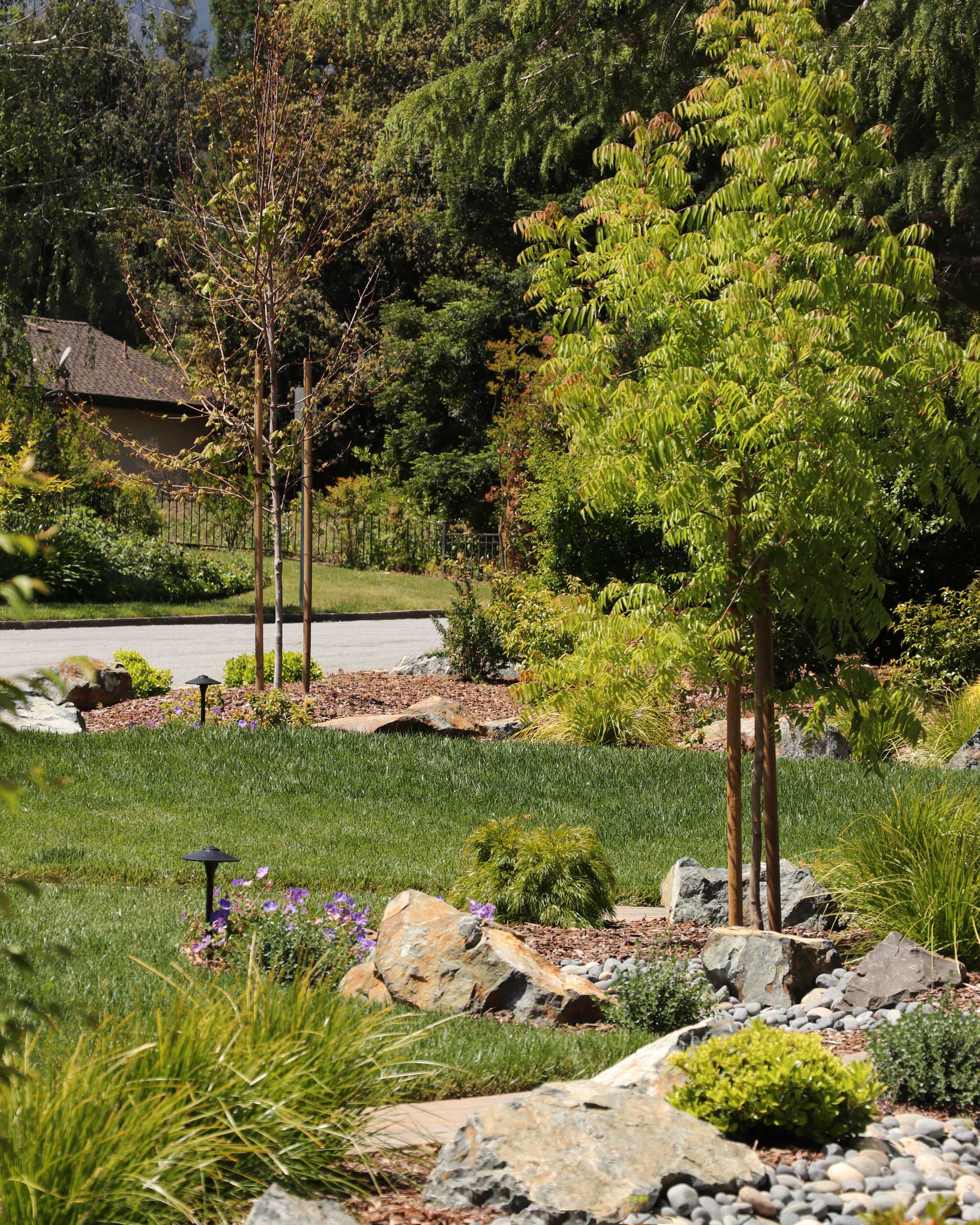 FRONT YARD WITH TREES AND DRY-CREEK