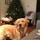 dustin_j_sullivan