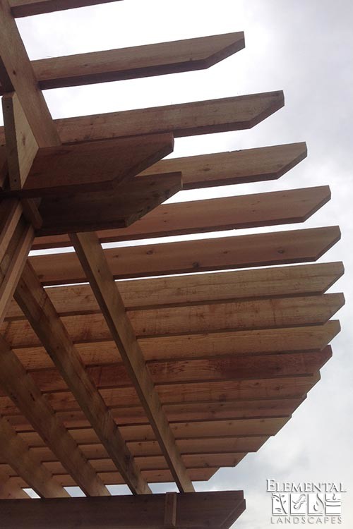 Inspiration for a huge transitional backyard concrete paver staircase remodel in Chicago with a pergola