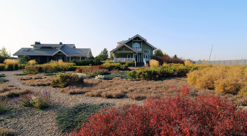 Полынный берег. Новые снимки