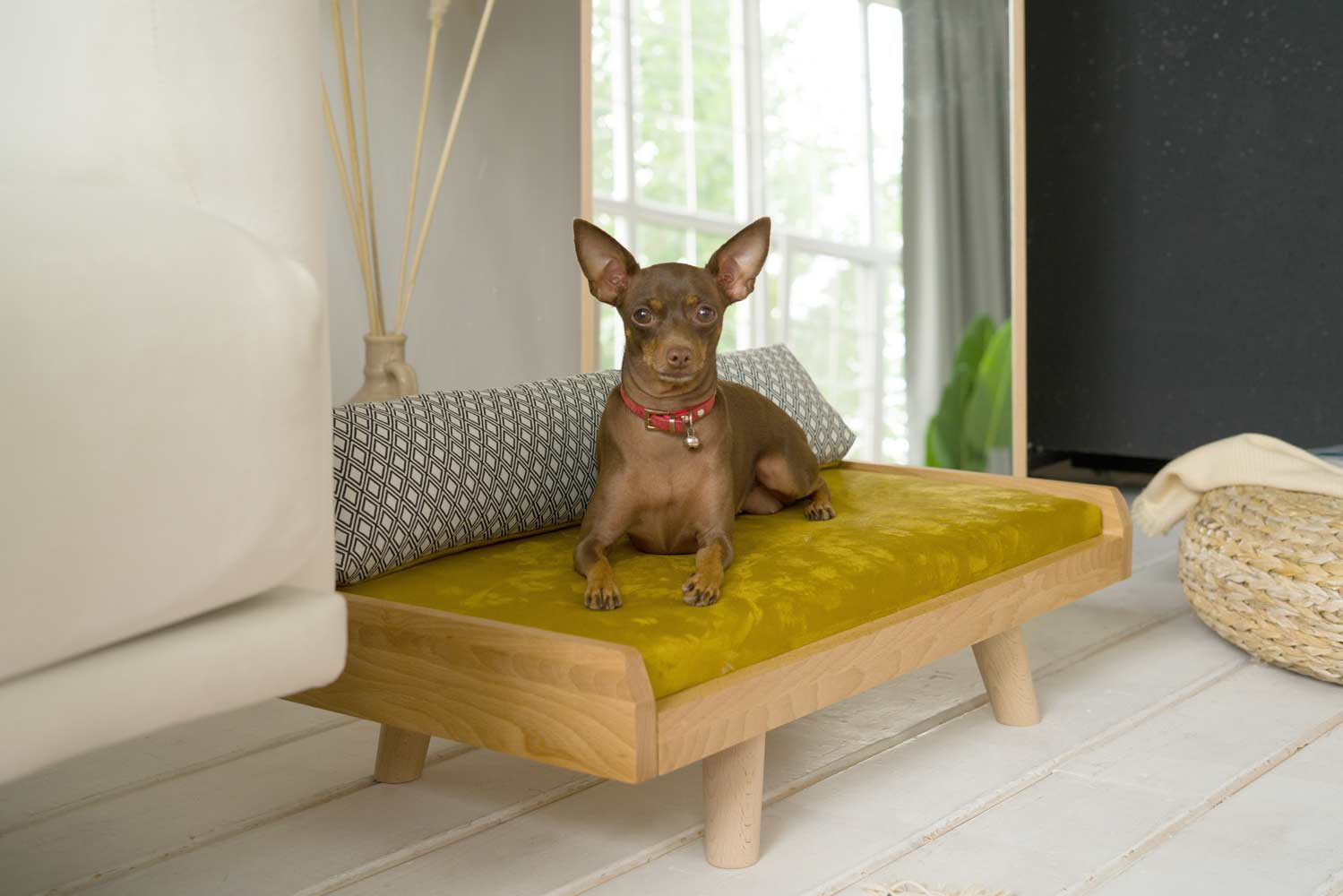 Кровать для собак и кошек OLZY