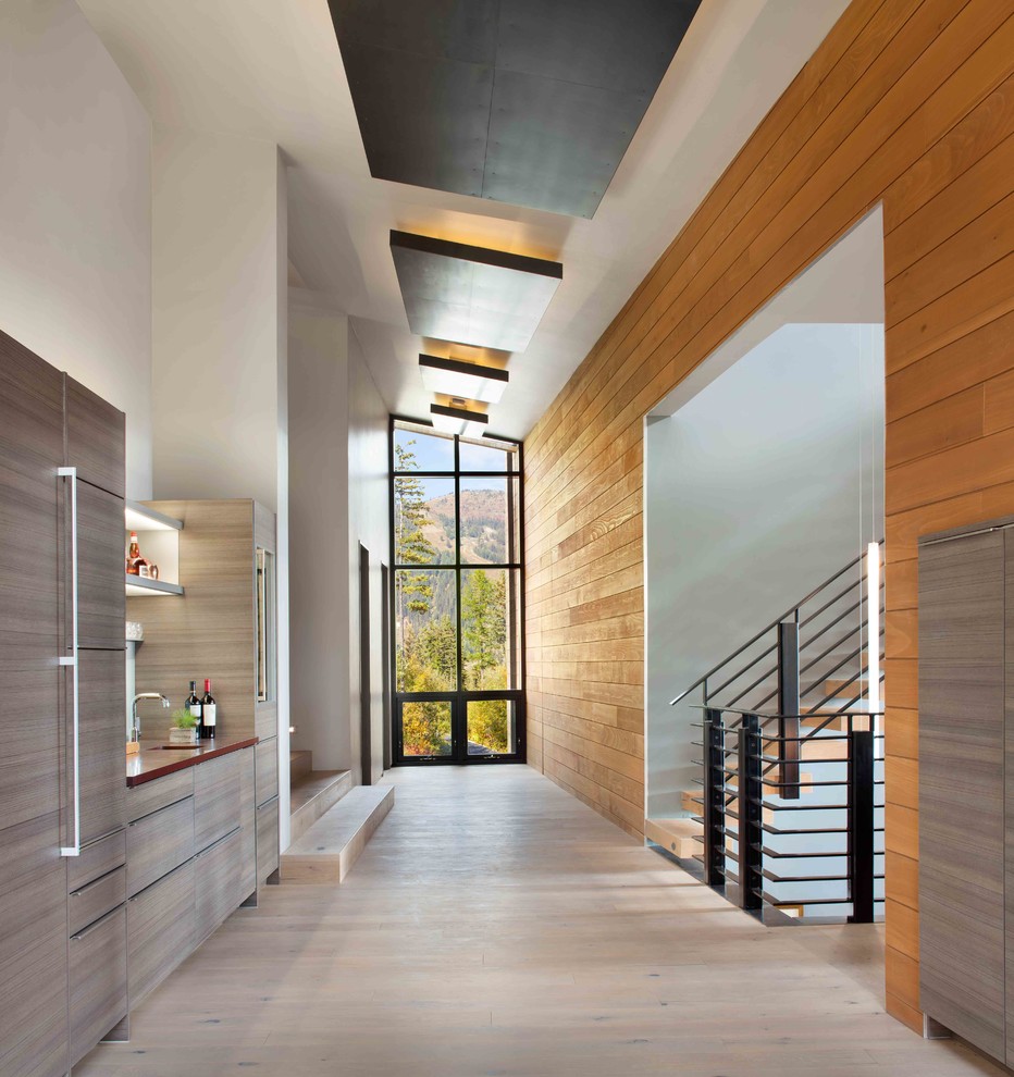 Design ideas for a large contemporary hallway in Other with brown walls and light hardwood floors.
