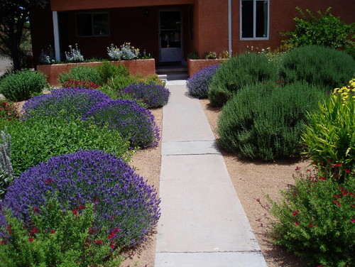 Waterwise Landscapes
