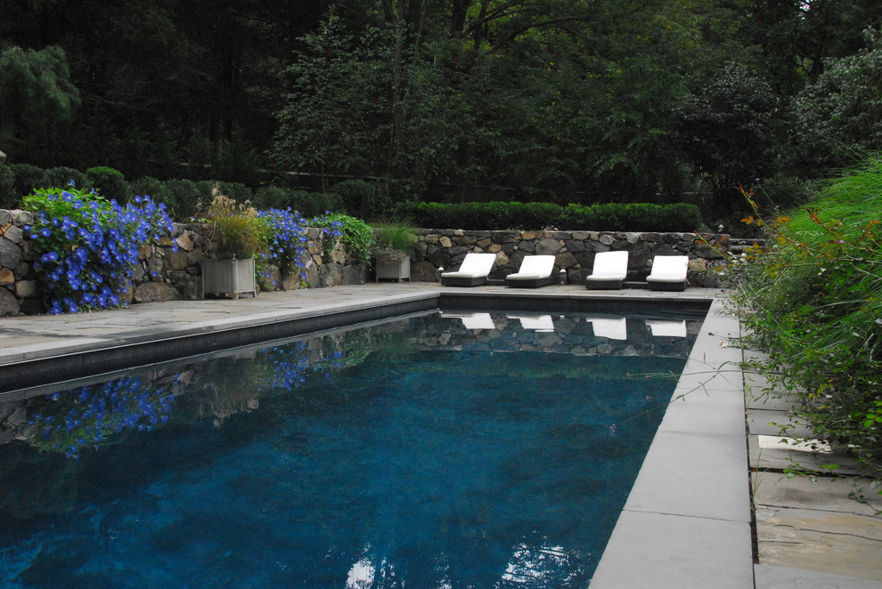 Inspiration for a contemporary lap pool in New York.