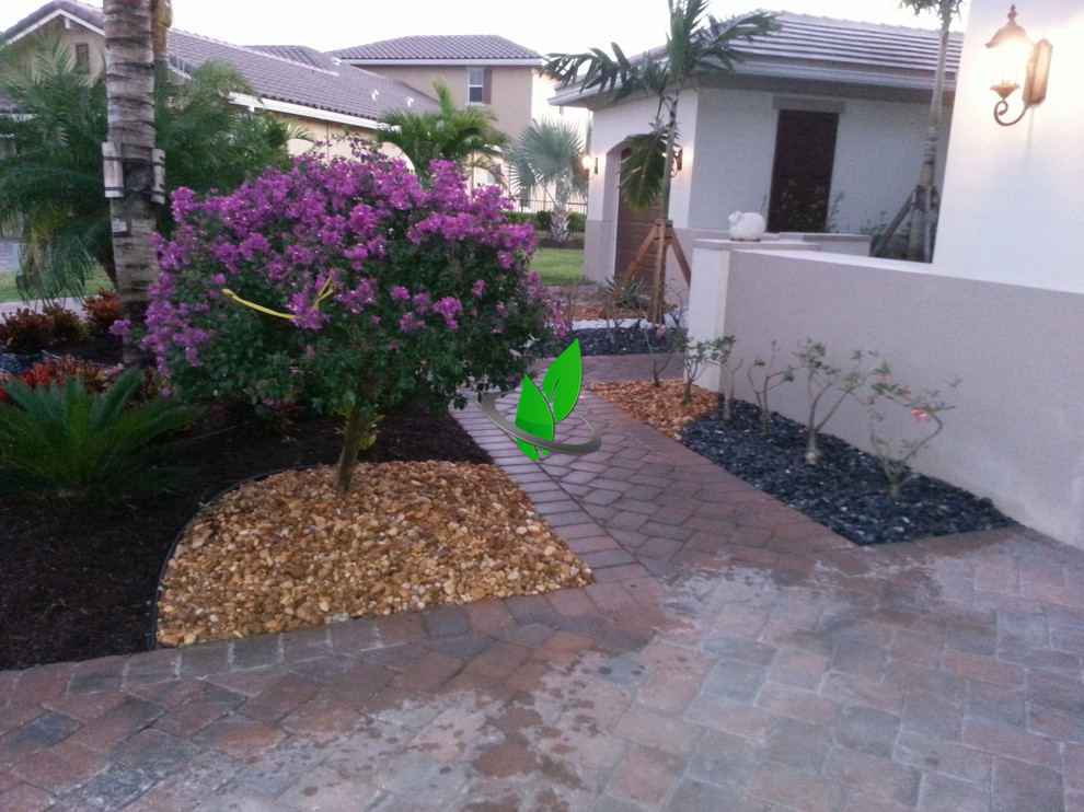Inspiration for a front yard gravel landscaping.