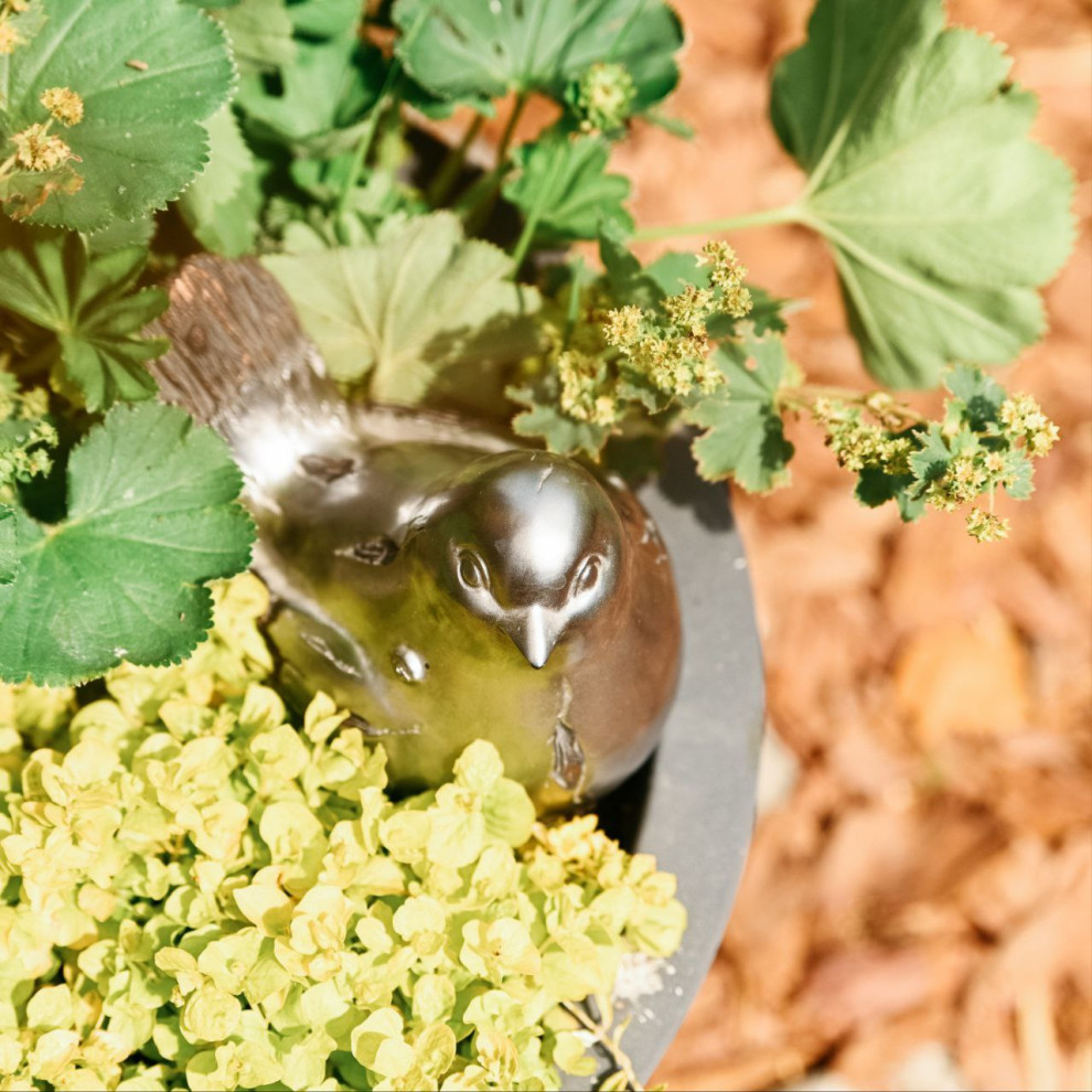 Выставочный сад Фестиваль Зелёная Комната в Калининграде "Другой сад"