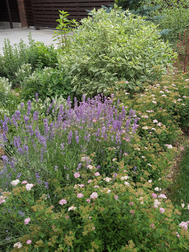 Сад в Рожновке
