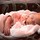 janine_minor