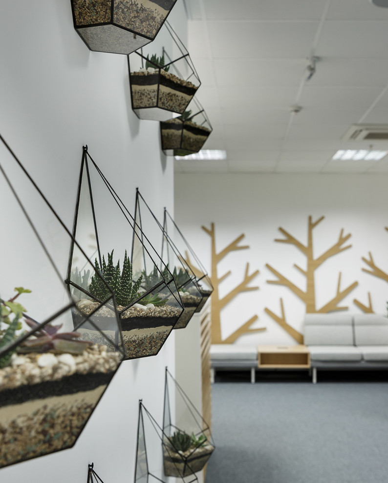 Озеленение офиса инженерной компании