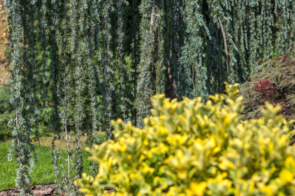 Ландшафтный Дизайн Олимпийский Сочи