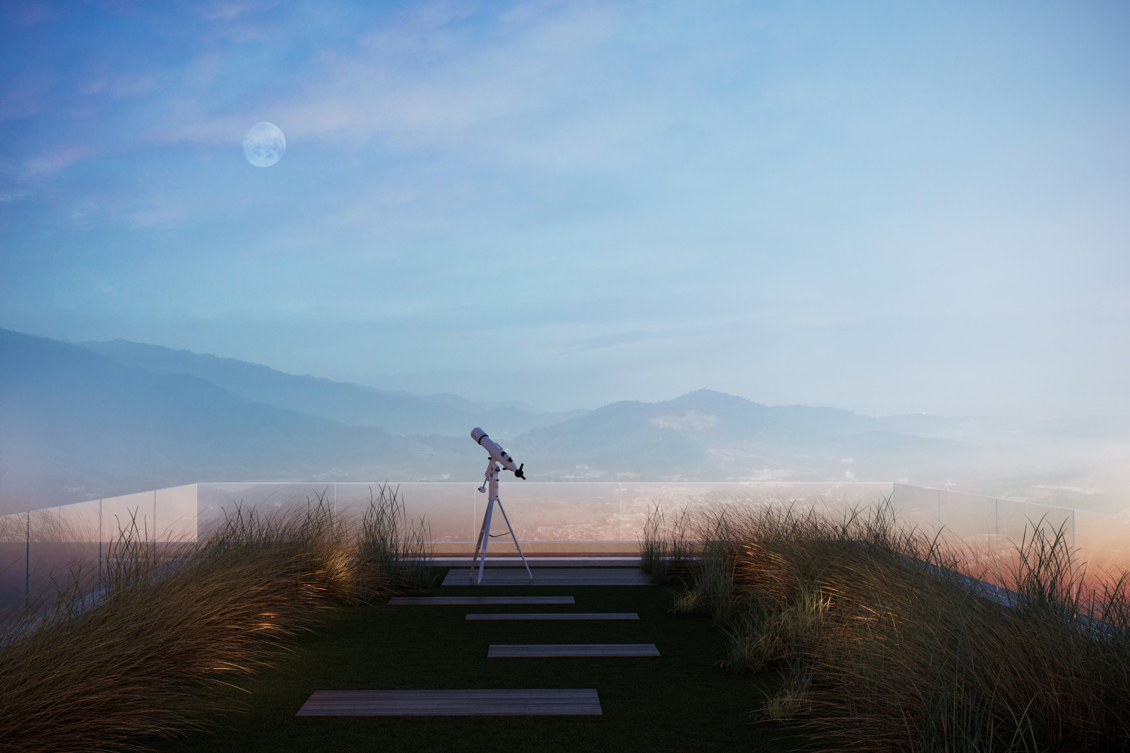 HOUSE GRASS interior