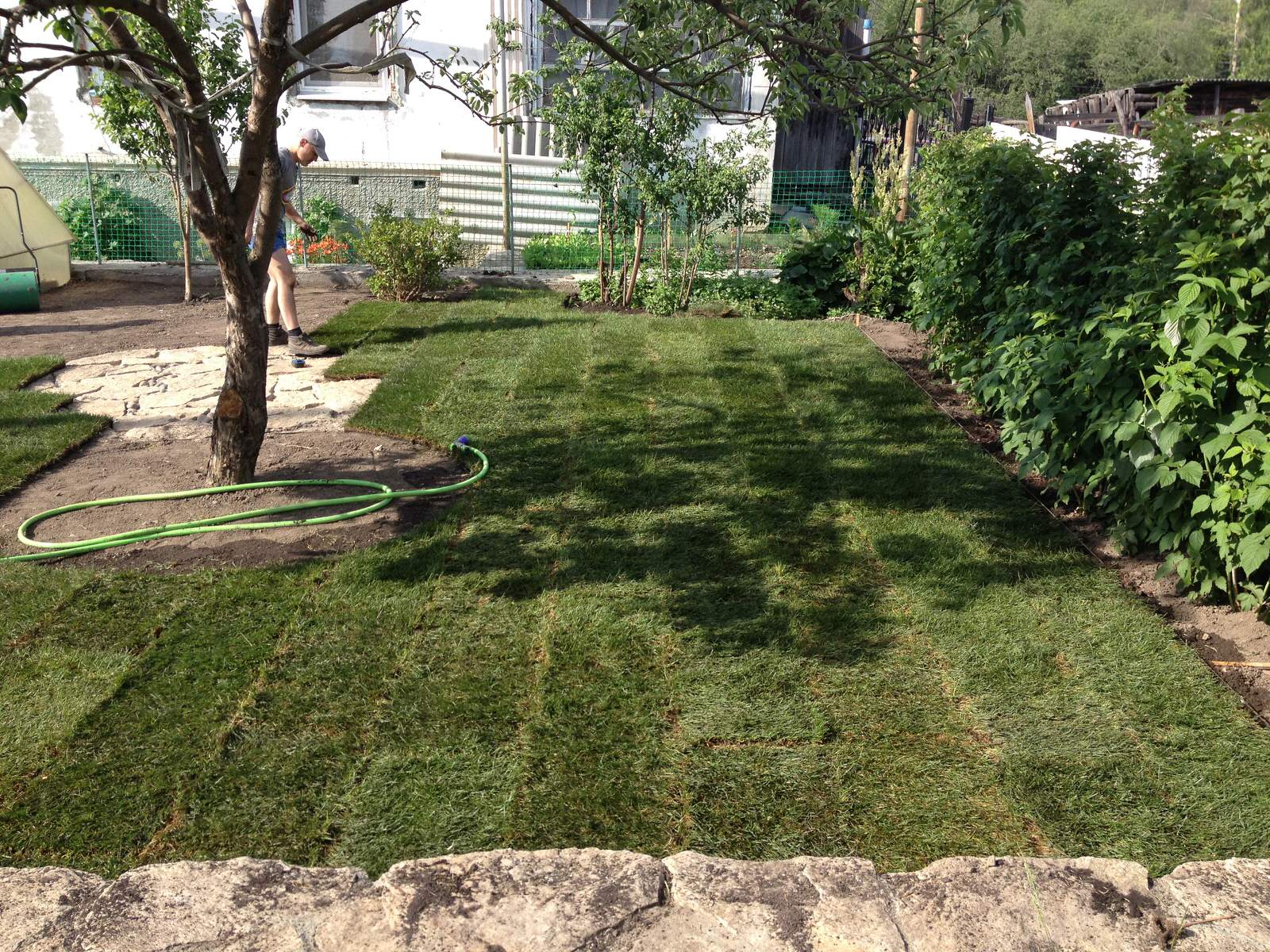 Сад на склоне. Реализация 2016 год