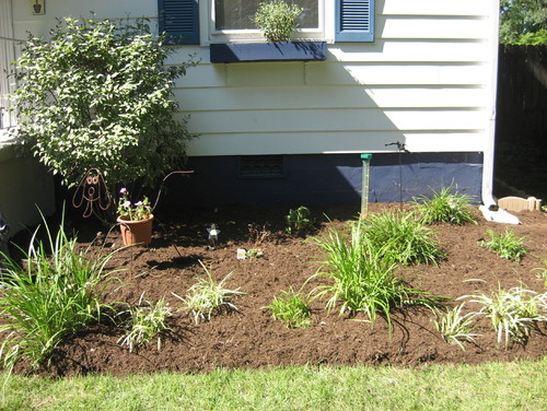 Mulch alternative ideas