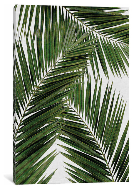 "Palm Leaf III" by Orara Studio Canvas Print, 12"x8"