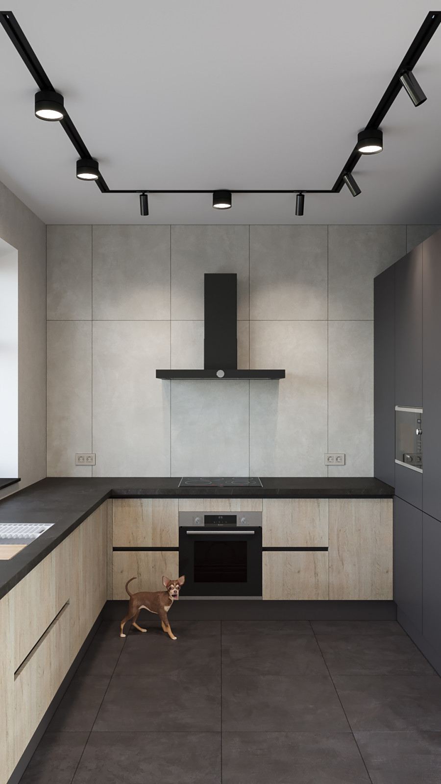 Барнхауз с мансардными окнами в серых оттенках