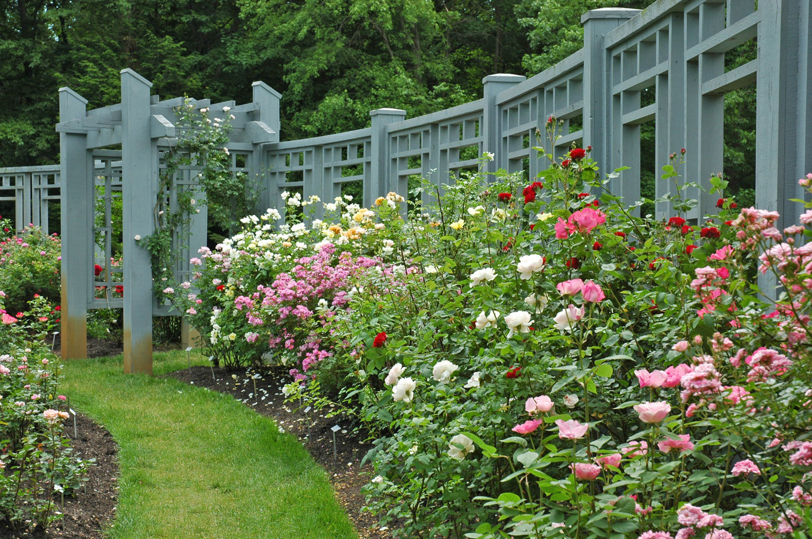 Roses Gardens