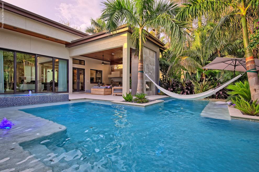 Contemporary pool in Tampa.