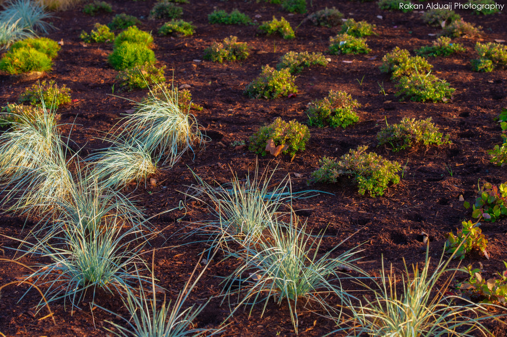 COMMERCIAL LANDSCAPE SERVICES