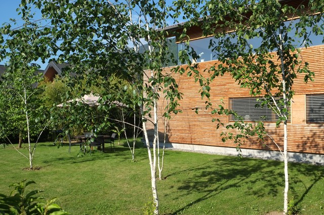 maison R contemporaneo-giardino