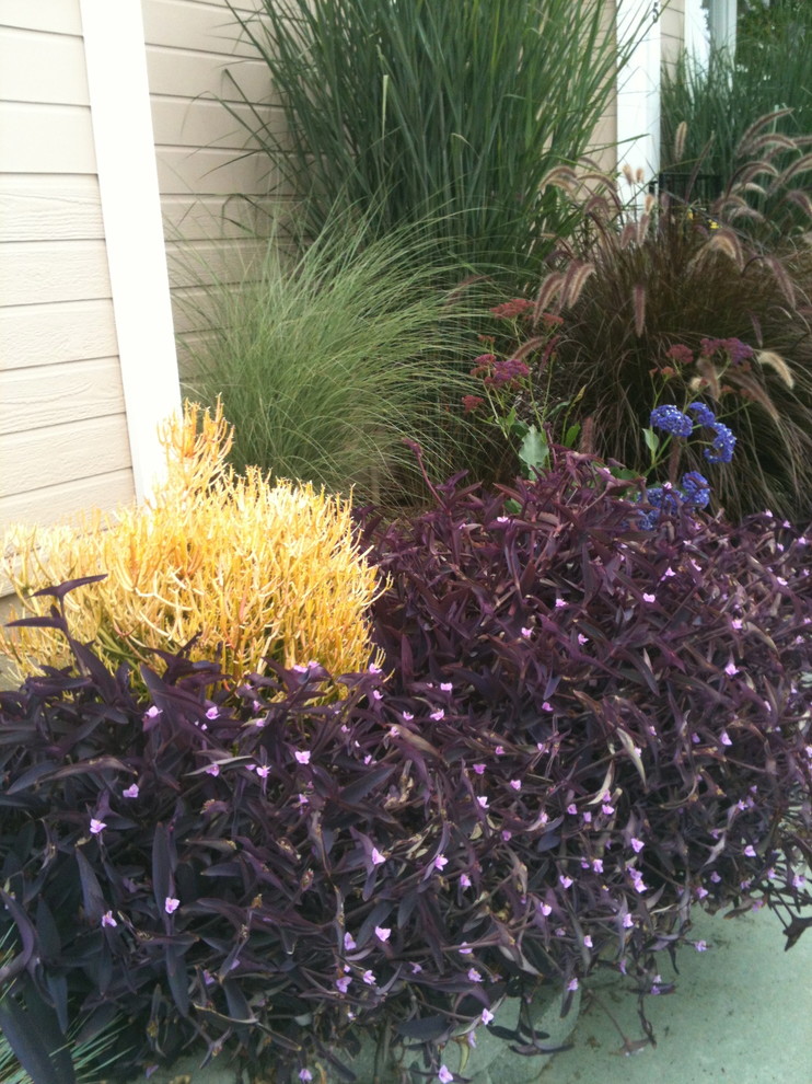 Inspiration for a mid-sized traditional full sun backyard landscaping in Orange County.
