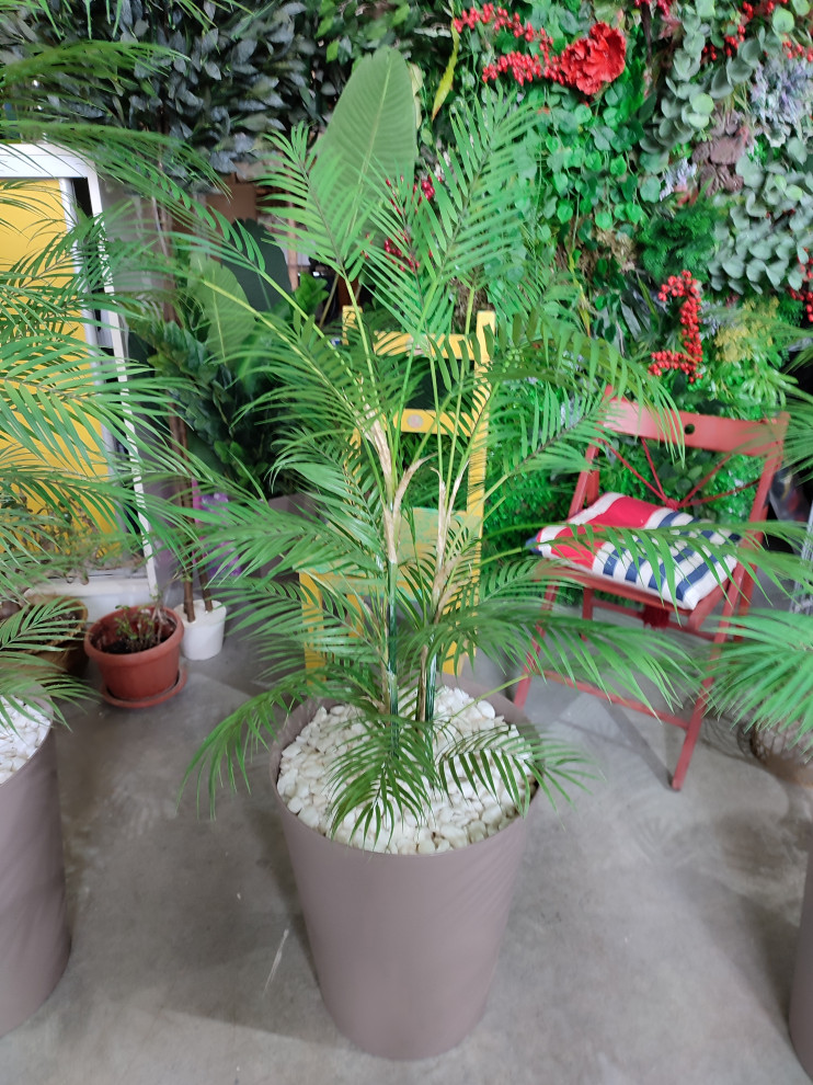 Растения для офисного пространства