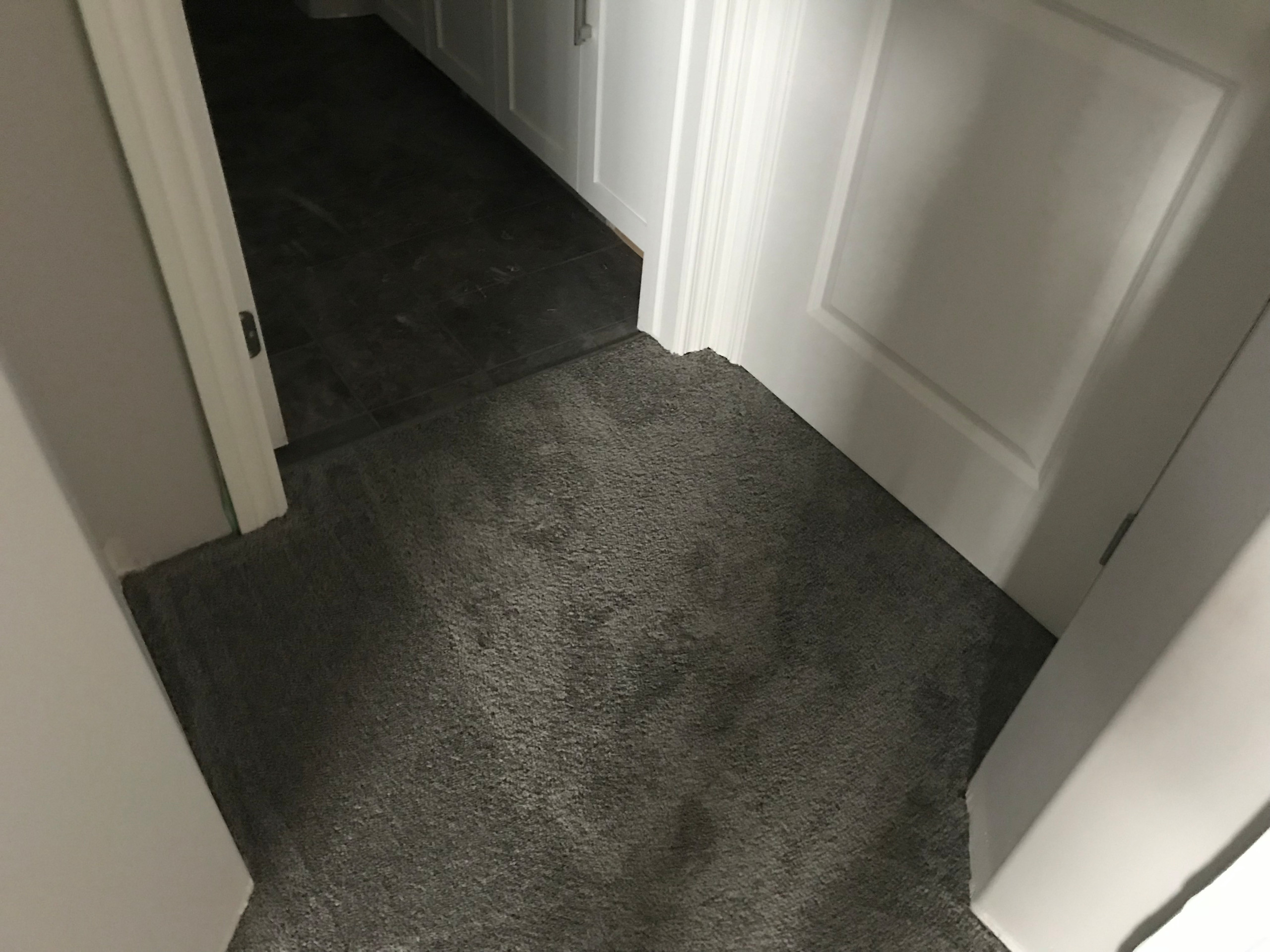 Carpet