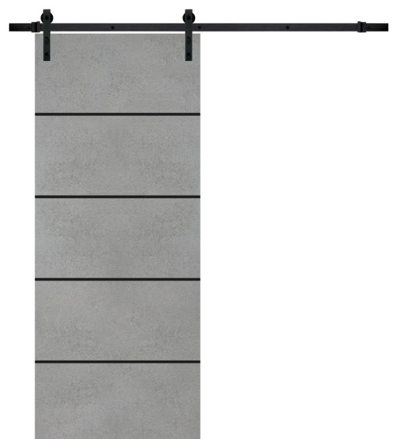 Sturdy Barn Door Planum 0015 Concrete with 6.6FT, 42" x 96