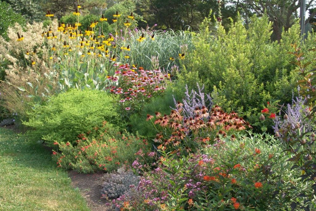 Pollinator garden in North Salem by Peter Atkins