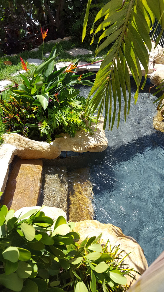 Photo of a small tropical backyard custom-shaped natural pool in Miami with a water feature and natural stone pavers.