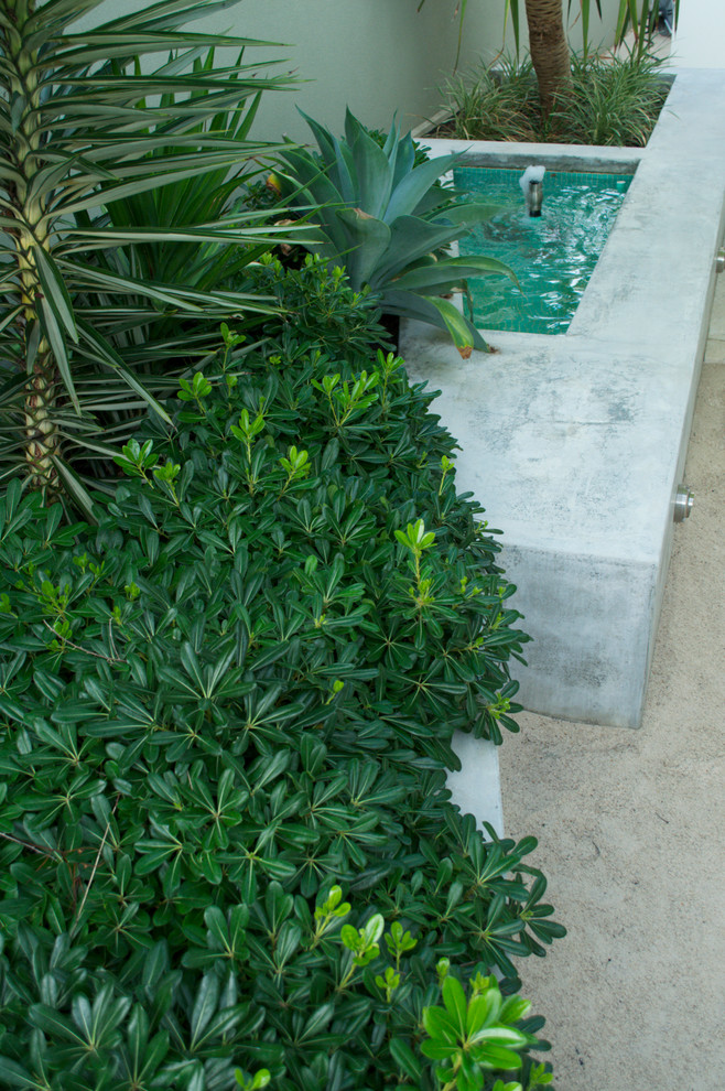 This is an example of a small contemporary courtyard garden in Perth with a water feature.