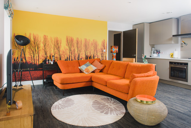Colourful apartment contemporary-kitchen