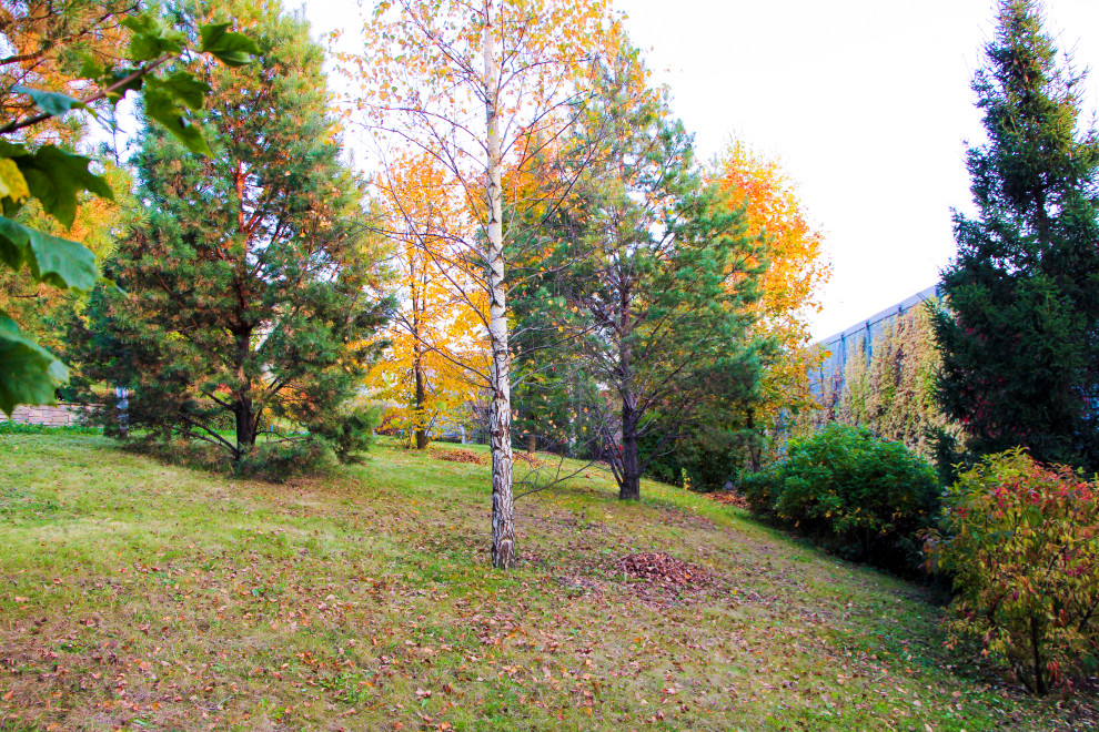 Лобаново, 2012-2021 гг.