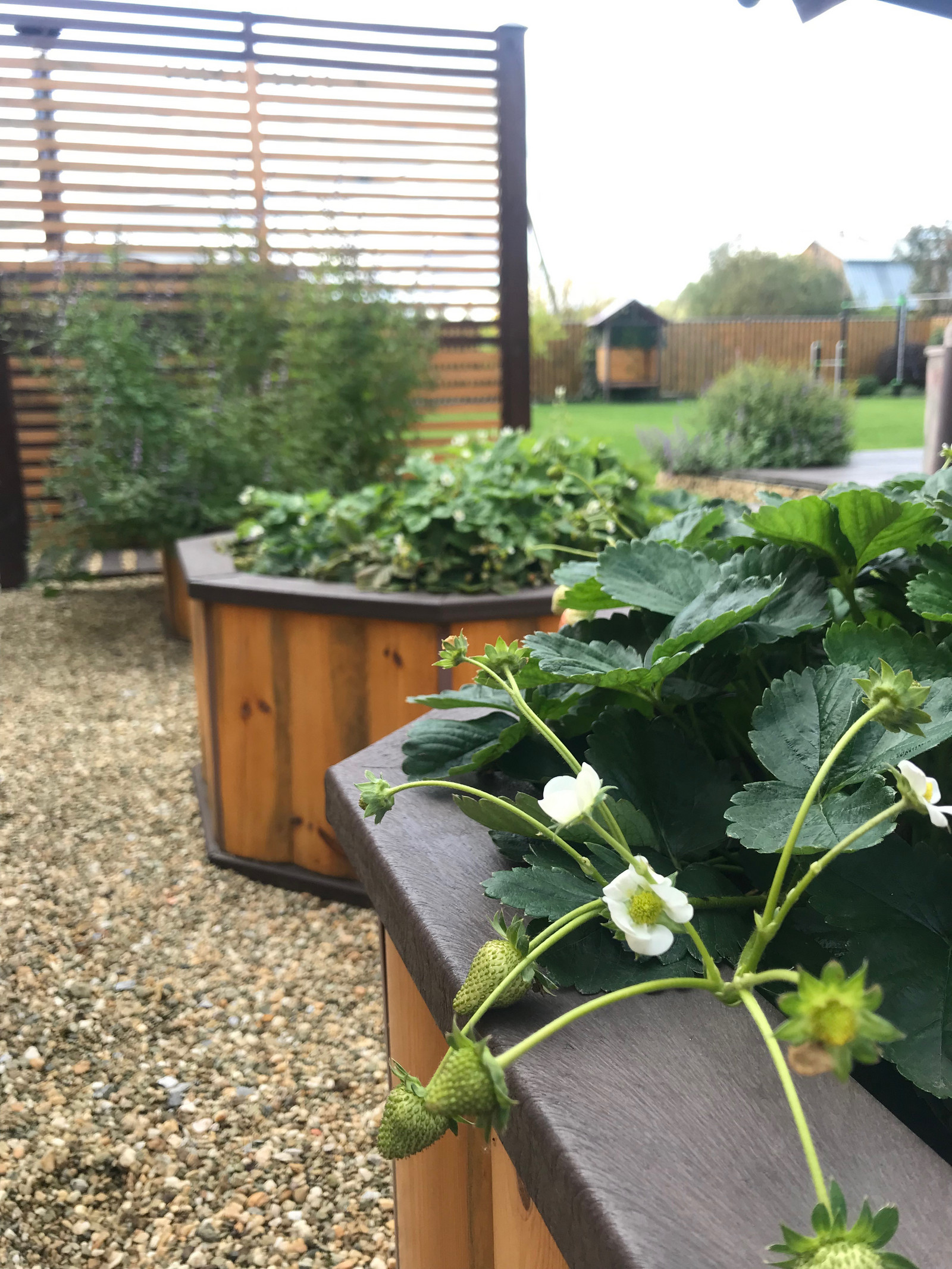 Садовый минимализм